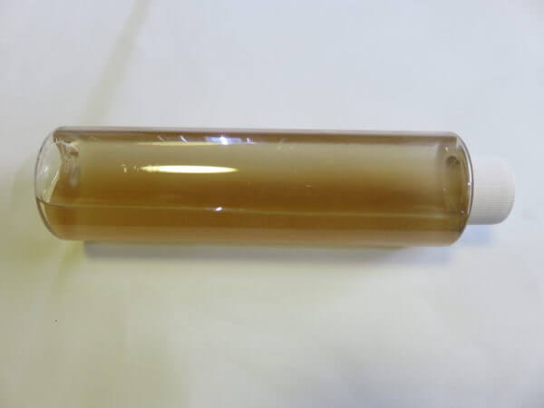 アクアリウムバス