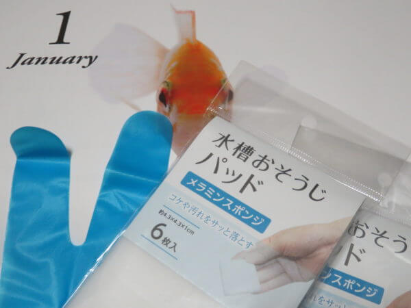 アクアリウムバス