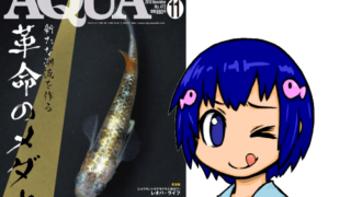 アクアライフ2018年11月号