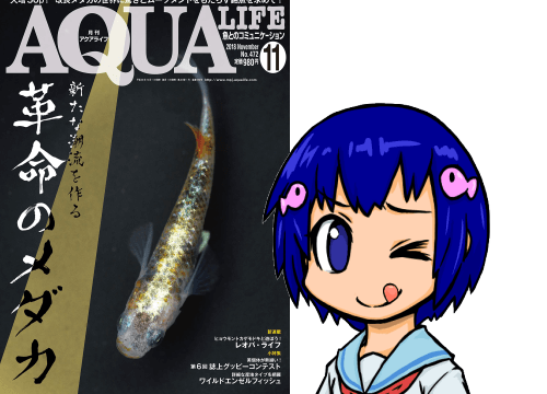 アクアライフ2018年11月号