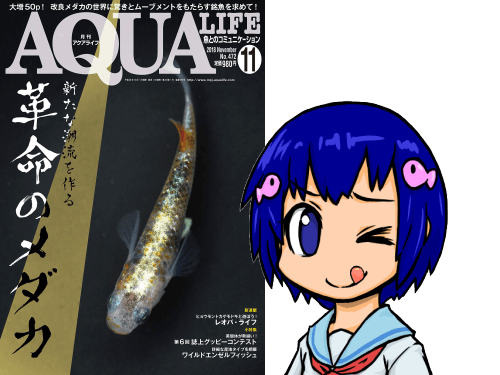 アクアライフ2018年11月号