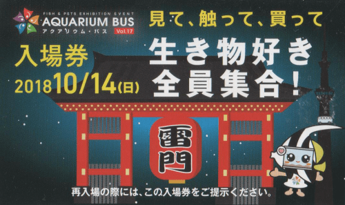 アクアリウムバス