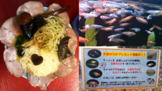 壱発ラーメン メダカ
