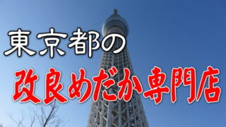 東京都の改良めだか専門店 メダカ屋
