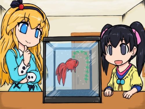 流川そらと萌愛と金魚