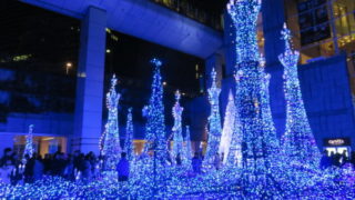 カレッタ汐留 イルミネーション