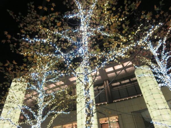 カレッタ汐留 イルミネーション