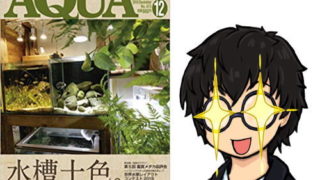 アクアライフ2018年12月号