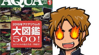 アクアライフ2019年01月号