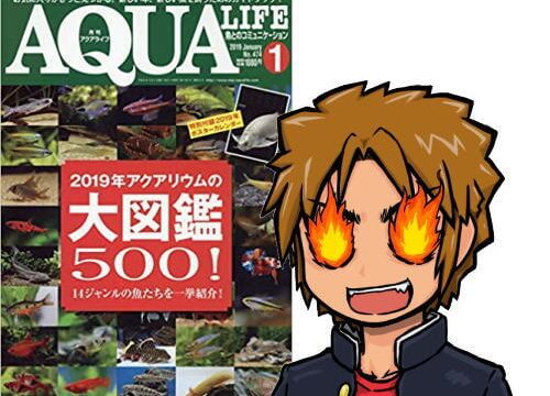 アクアライフ2019年01月号