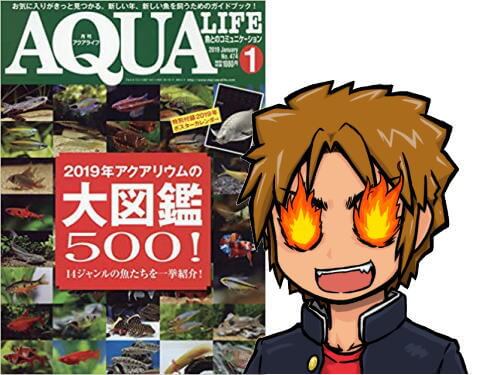 アクアライフ2019年01月号