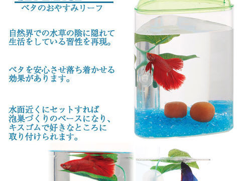 charm-おやすみリーフ