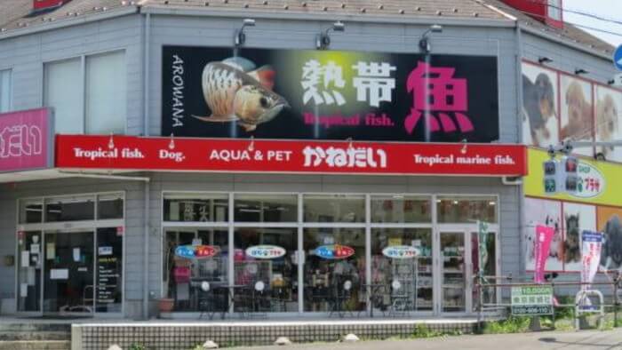 かねだい本町田店