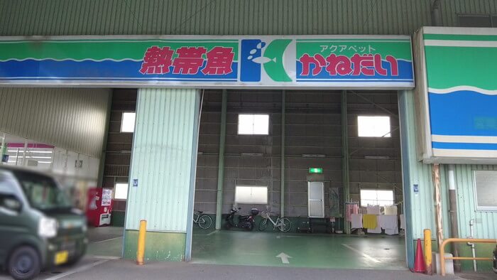 かねだい市原店