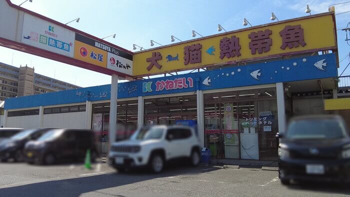 かねだい青梅店