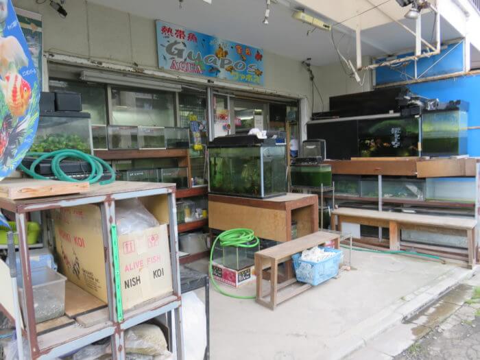 アクアグァポス