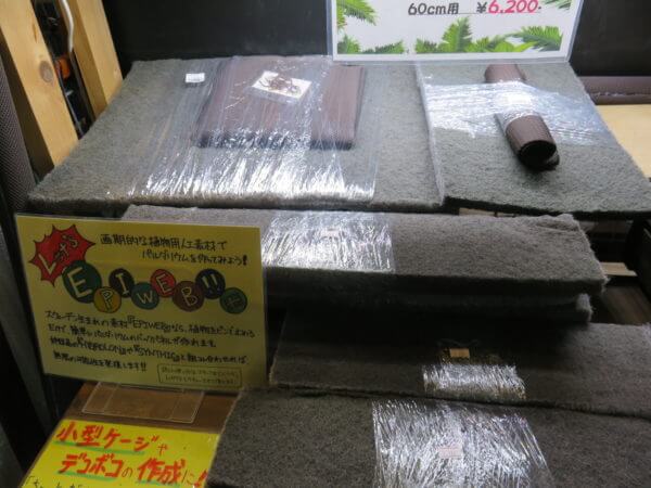 アクアテイラーズ