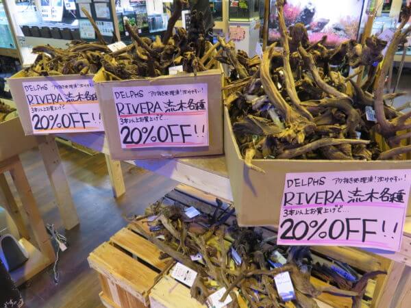 アクアテイラーズ