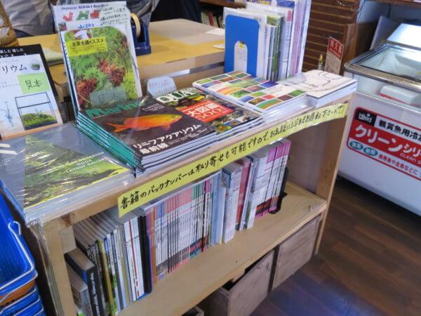 アクアテイラーズ