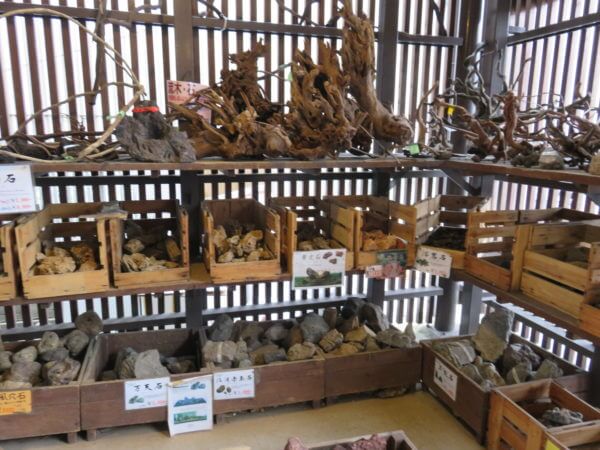 アクアテイラーズ