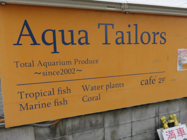 アクアテイラーズ