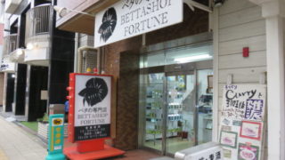 ベタショップ フォーチュン