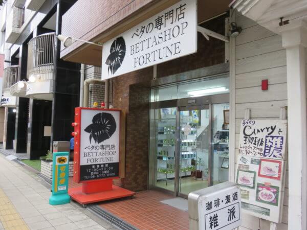 ベタショップ フォーチュン