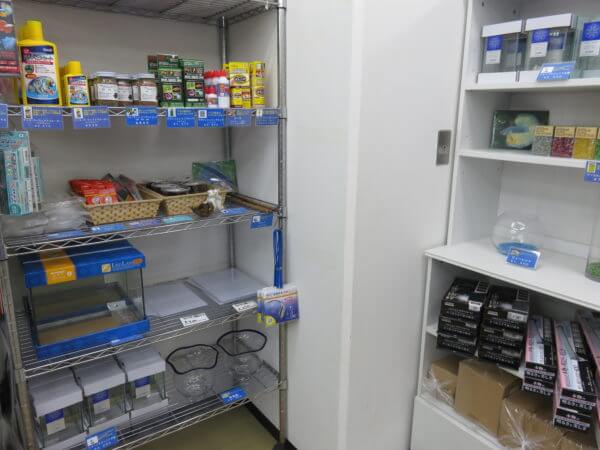 ベタ フォーチュン