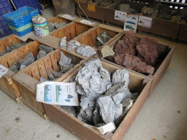 アクアテイラーズ