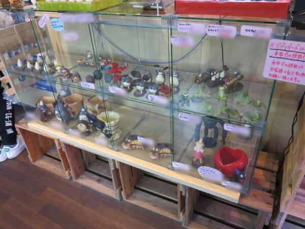 アクアテイラーズ