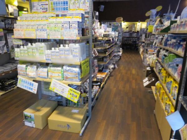 アクアテイラーズ