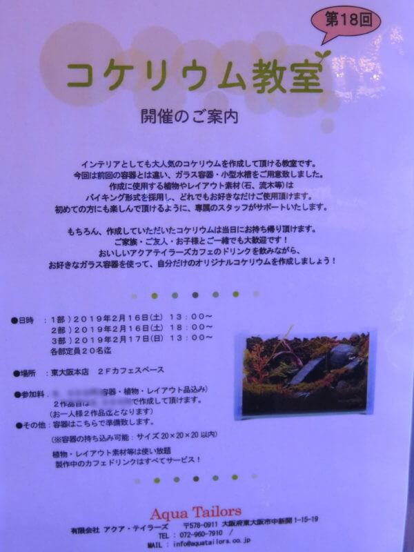 アクアテイラーズ