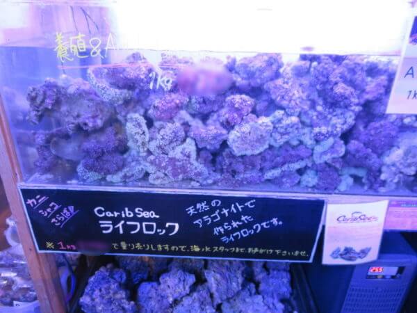 アクアテイラーズ