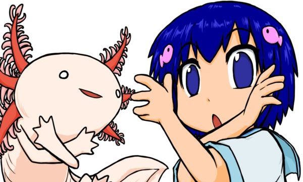 ウーパールーパーと流川海里