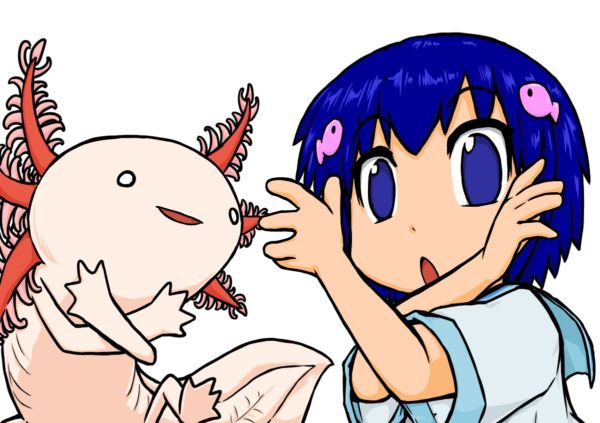 アクアリウムバス ウーパールーパー