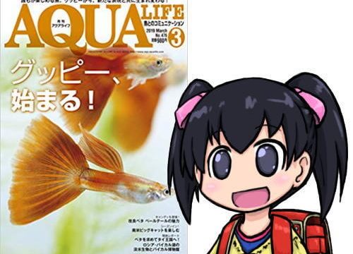 アクアライフ2019年03月号