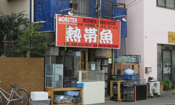 モンスターアクアリウム