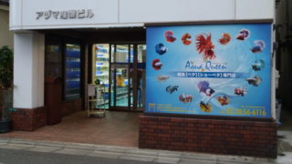 ベタ専門店 アクアクイーン