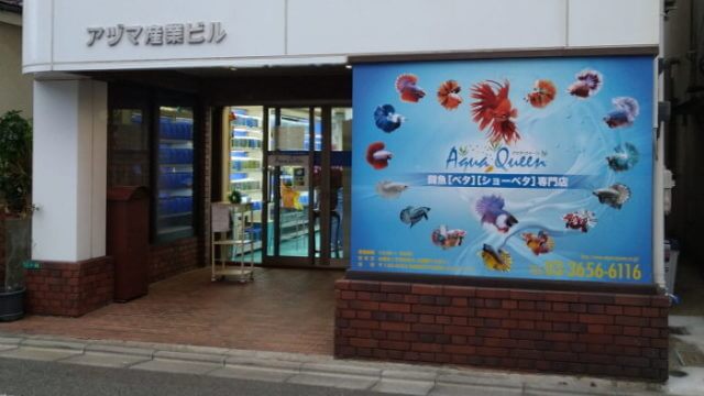 ベタ専門店 アクアクイーン