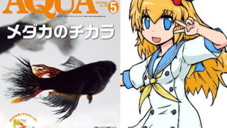 アクアライフ2019年05月号