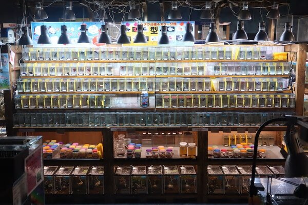 ペットの専門店コジマ ベイタウン横浜本牧店