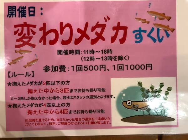 ペットの専門店コジマ ベイタウン横浜本牧店