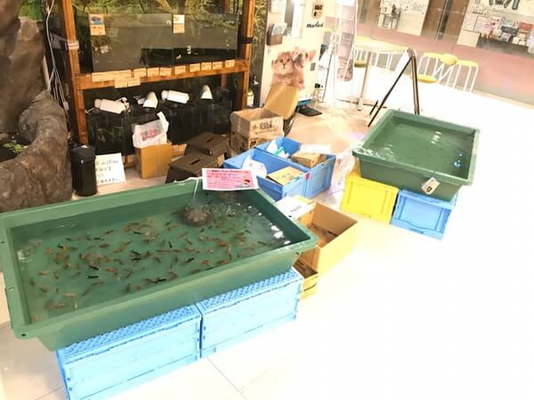 ペットの専門店コジマ ベイタウン横浜本牧店