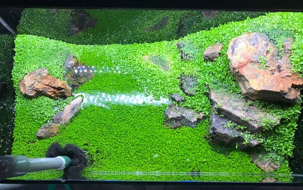 ペットの専門店コジマ ベイタウン横浜本牧店