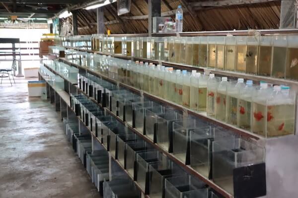 ペットの専門店コジマ ベイタウン横浜本牧店