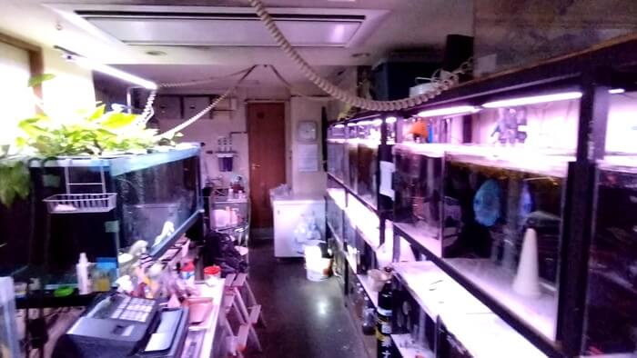 アクアマイスターディスカス事業部 東京都江戸川区江戸川