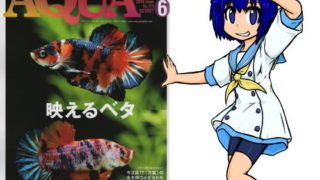 アクアライフ2019年06月号