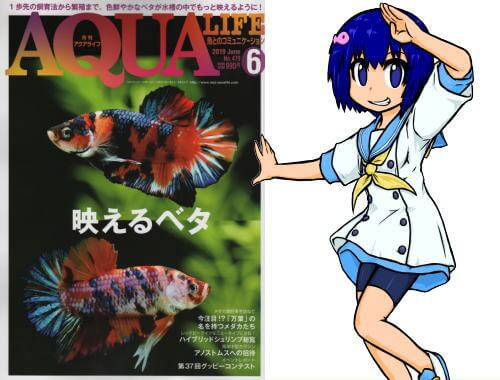 アクアライフ2019年06月号