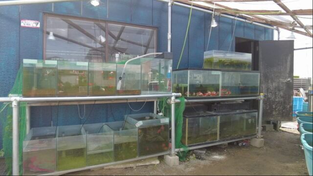 御魚工房 阿舞座屋