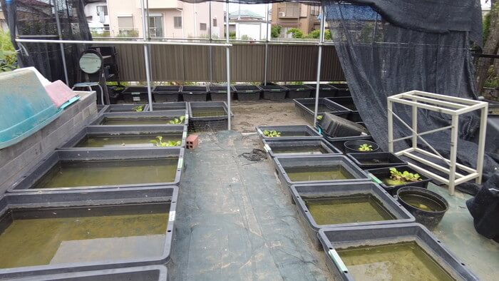 御魚工房 阿舞座屋